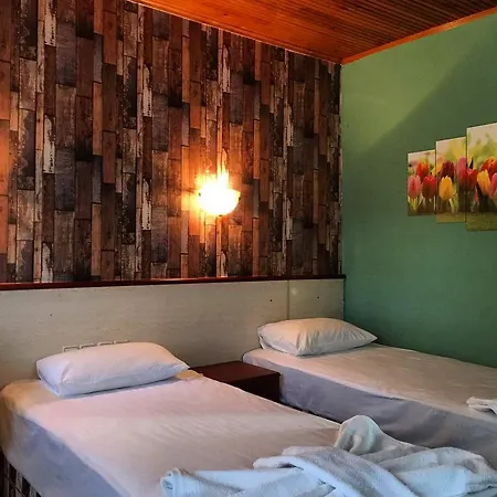 Отель Silver Pine 3*