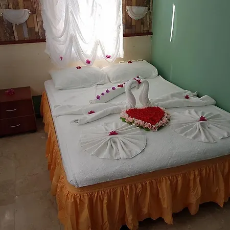 Silver Pine 3* Kargi