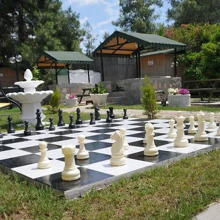 Отель Silver Pine 3*