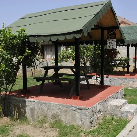 Отель Silver Pine 3*