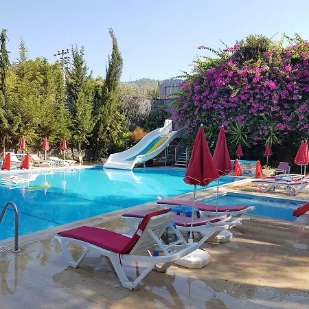 Silver Pine 3* Kargi