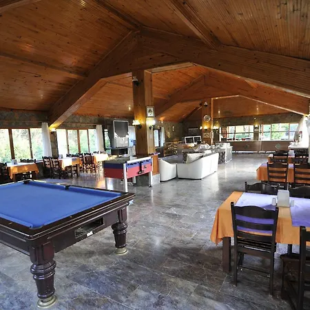 Hotel Silver Pine 3*