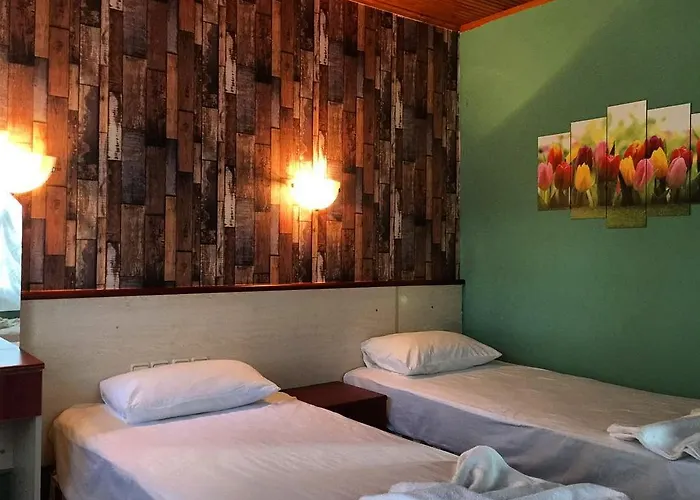 Hotel Silver Pine 3*