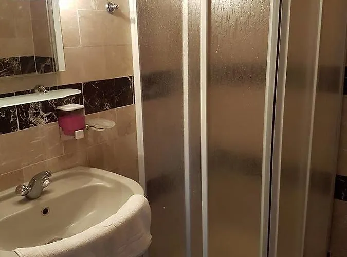 Hotel Silver Pine 3*