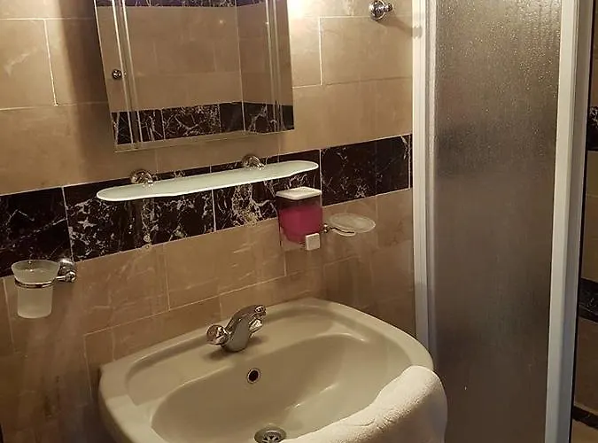 Hotel Silver Pine 3*